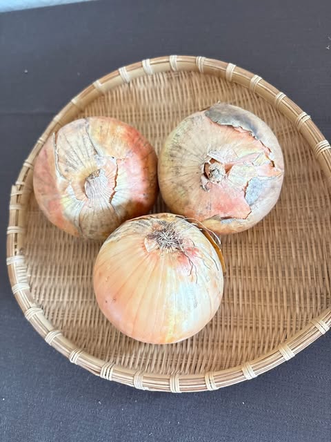 玉ねぎ